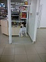 ROYAL CANIN