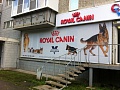 ROYAL CANIN